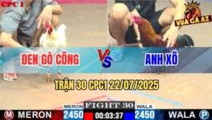 Trận 30 CPC1 22/7/2025 - Gà Điều Anh Xô Có Chân Xạo Lờ Đá Úa Cúp Điện