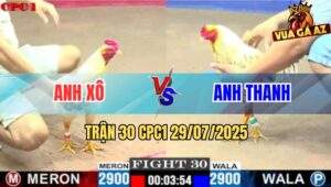 Trận 30 CPC1 29/7/2025 - Bướm Đuôi Tôm Siết 1 Hơi Bướm Xanh Đứt Đường