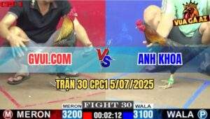 Trận 30 CPC1 5/7/2025 - Gà Anh Khoa Đâm Thủng Tim Gà Điều GVUI.COM