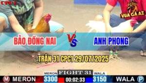 Trận 31 CPC1 29/7/2025 - Vàng Chân Xanh Anh Bảo Vô Trong Đá Quá Cháy
