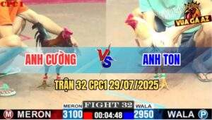 Trận 32 CPC1 29/7/2025 - Gà Bướm Anh Ton Quá Trâu Que Đá Không Thấm