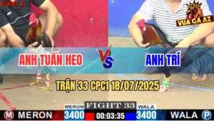 Trận 33 CPC1 19/7/2025 - Điều Chân Trắng Bú Chân Vàng Chạy Be Miệng