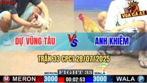 Trận 33 CPC1 28/7/2025 - Bướm Anh Dự Vũng Tàu 1 Đá Gà Cú Đập Cánh Chết