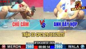 Trận 33 CPC1 29/7/2025 - Gà Anh Bảy Hợp Đá Gà Chú Cấm Đi Loạng Choạng
