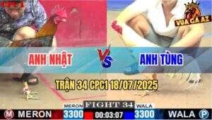 Trận 34 CPC1 19/7/2025 - Úa Hiệu Anh Tùng Đá Gà Điều Anh Nhật Bay Bồ
