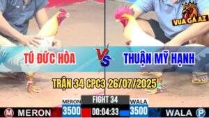 Trận 34 CPC3 26/7/2025 - Gà Bướm Anh Tú Đức Hòa Đâm Thủng Tim Gà Úa