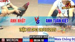 Trận 35 CPC1 28/7/2025 - Gà Cú Anh Tuấn Kiệt 1 Đá Lên Lớp Thanh Công