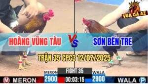 Trận 35 CPC3 12/7/2025 - Gà Xám Anh Hoàng Đâm Điều Xanh Như Như Cái Rổ