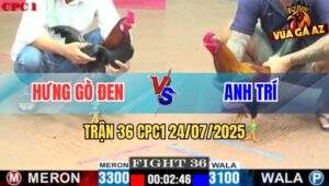 Trận 36 CPC1 24/7/2025 - Điều Cọp Anh Hưng Ra Lùa 1 Hơi Có Kết Quả