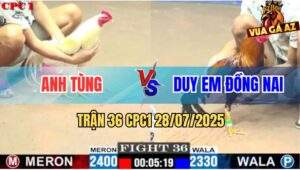 Trận 36 CPC1 28/7/2025 - Anh Tùng Tiếp Tục Hạ Anh Duy Em Đồng Nai