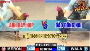 Trận 36 CPC1 29/7/2025 - Anh Bảy Hợp Và Anh Bảo Đồng Nai