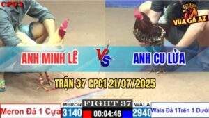 Trận 37 CPC1 21/7/2025 - Gà Anh Minh Lê 1 Dao Chống 2 Dao Thành Công