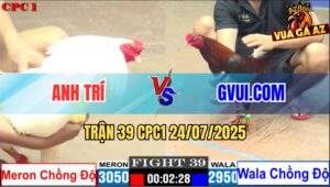 Trận 39 CPC1 24/7/2025 - Điều Cọp GVUI.COM Lên 2 Đá Úa Chạy La Làng