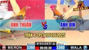 Trận 4 CPC1 17/7/2025 - Điều Cọp Anh Bin Đá 1 Hơi Đối Thủ Bay Bồ