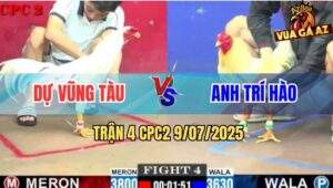 Trận 4 CPC2 9/7/2025 - Bướm Anh Dự Vũng Tàu Đá Gà Úa Bại Liệt