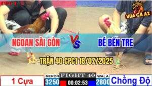 Trận 40 CPC1 19/7/2025 - Bướm Camelo Anh Bé Bến Tre Lên Lớp Nhẹ Nhàng