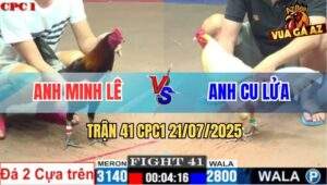 Trận 41 CPC1 21/7/2025 - Que Chân Xanh Anh Minh Lê Đâm Cựa Như Chỉa