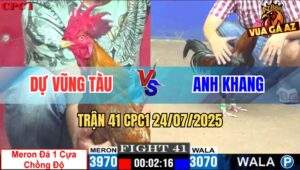Trận 41 CPC1 24/7/2025 - Khét Cọp Anh Dự Vũng Tàu Lên Lớp Đá 1 Cây Cựa