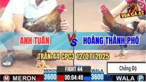 Trận 44 CPC3 12/7/2025 - Điều Anh Hoàng Lên Lớp Bị Gà Cú Đá Nhập Thổ
