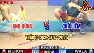 Trận 5 CPC2 4/7/2025 - Bướm Anh Hùng Đá Điều Cọp Chú Liêm Quên Lối Về