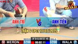 Trận 6 CPC1 17/7/2025 - Điều Cọp Anh Trí Đá Bướm Anh Tiền Nằm Cứng Đơ