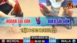 Trận 6 CPC1 19/7/2025 - Gà Que Anh Quẹo Đá Cây Hiểm Điều Chạy La Miệng