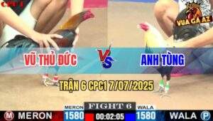 Trận 6 CPC1 7/7/2025 - Que Cọp Anh Vũ Hạ Chuối Anh Tùng Chỉ Sau 3 Cước