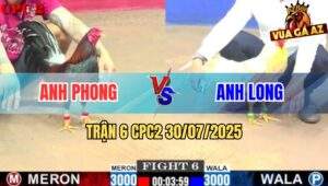 Trận 6 CPC2 30/7/2025 - Anh Long 4G Phủ Sóng Toàn C2 Thành Công
