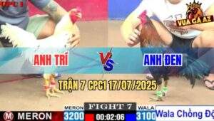 Trận 7 CPC1 17/7/2025 - Mẻ Xanh Hiệu Anh Tính Lên 2 Thành Công