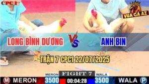 Trận 7 CPC1 22/7/2025 - Bướm Anh Bin Mai Độ Kẹp Chân Cuối Úa Gãy Cổ