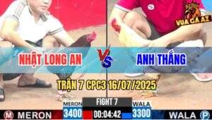 Trận 7 CPC3 16/7/2025- Điều Anh Nhật Đâm Bướm Anh Thắng Chạy La Miệng