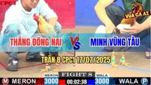Trận 8 CPC1 17/7/2025 - Camelo Anh Minh Đá Bát 1 Gà Chuối Chết Tại Chỗ