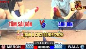 Trận 8 CPC1 22/7/2025 - Điều Cọp Anh Bin Đá Quá Độc Bướm Thăng Thiên