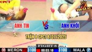 Trận 8 CPC1 8/7/2025 - Bướm Chân Cua Anh Khối Có Chân Phản Cứu Chủ