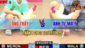 Trận 8 CPC2 11/7/2025 - Gà Anh Tư Mã Ý Dù Kém 2 Chấm Vẫn Hạ Ông Thầy