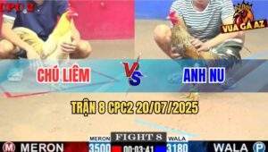 Trận 8 CPC2 20/7/2025 - Anh Nu Chấp 3 Chấm Gà Vẫn Hốt Xổ 200 Ngọt Xớt