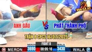 Trận 8 CPC3 16/7/2025 - Gà Anh Gấu Dí Gà Cậu Đông Chạy Mất Dép