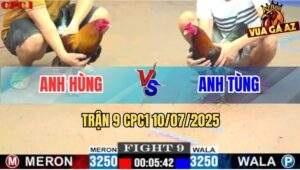 Trận 9 CPC1 10/7/2025 - Gà Anh Tùng Mai Độ Có Chân Phản Báo Hại Hàng 6