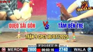 Trận 9 CPC1 19/7/2025 - Điều Cọp Anh Tâm Hạ Sát Gà Úa Trong 1 Nốt Nhạc