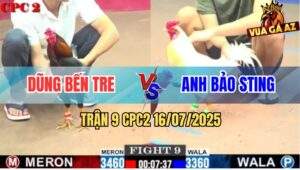 Trận 9 CPC2 16/7/2025 - Anh Bảo Sting Thất Thủ Trước Anh Dũng Bến Tre