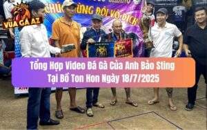 Tổng Hợp Video Đá Gà Của Anh Bảo Sting Tại Bồ Ton Hon Ngày 18/7/2025