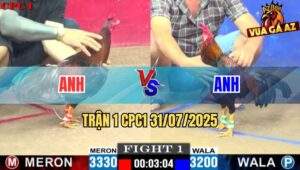 Trận 1 CPC1 31/7/2025 - Điều Mồng Lá Chân 3 Cựa Hạ Gọn Đối Thủ
