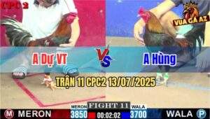 Trận 11 CPC2 13/7/2025 - Gà Que Của Anh Hùng Quá Lì Đòn