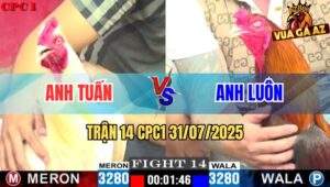 Trận 14 CPC1 31/7/2025 - Gà Úa Anh Tuấn Siết Chân Quá Hiểm Hạ Đối Thủ