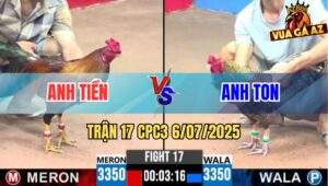 Trận 17 CPC3 6/7/2025 - Cú Cọp Anh Ton Đâm Đối Thủ Bay Bồ Tốc Chạy