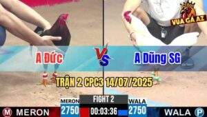 Trận 2 CPC3 14/07/2025 - Gà Anh Dũng Sài Gòn Đá Đòn Cựa Nghiệt