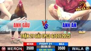 Trận 21 Giải CPC3 6/7/2025 - Gấu Bến Tre Vs An Trà Vinh