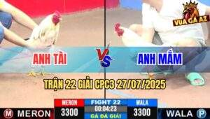 Trận 22 Giải CPC3 27/7/2025 - Anh Tài Bình Chánh Vs Anh Mắm Thành Phố