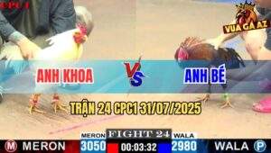 Trận 24 CPC1 31/7/2025 - Gà Anh Bé Canh Chặn Phản Kèo Hay Báo Hàng Xáo