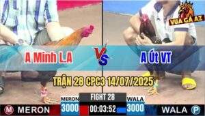 Trận 28 CPC3 14/07/2025 - Anh Minh Long An Vs Anh Út Vũng Tàu